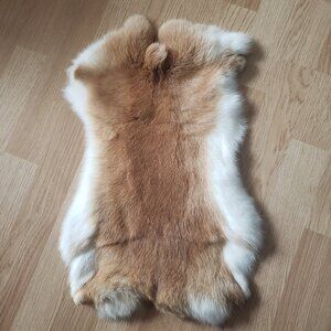 Rabbit pelt